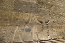 The king Hathor and Horus