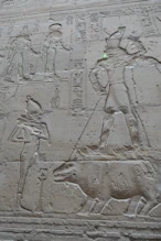 Horus hunting Setti