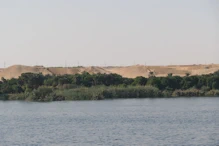 Narrow fertile strip