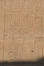 Surgical instruments stone