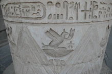 Strange winged animal