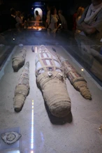 Wrapped crocodile mummies