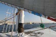 Another one passing by