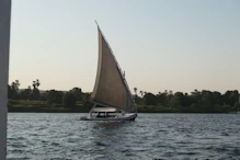 Another one passing by