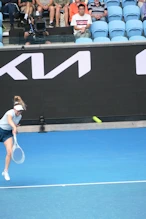 Vekic v Shnaider