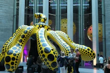 Dotty exhibition at NGV