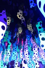 Dotty exhibition at NGV