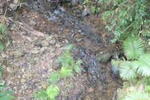 McLean's Creek