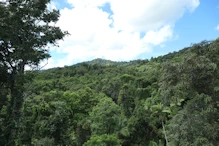 View to mountain