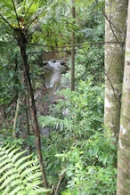 McLean's Creek