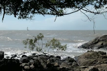 A caramaran heading out to sea