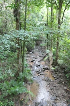 Little creek