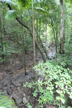 Little creek