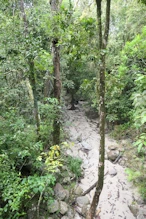Dry creek