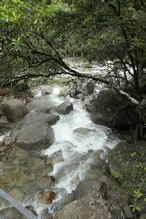 Near suspension bridge