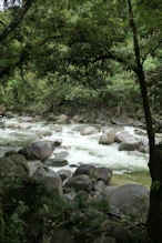 Rapid flow area