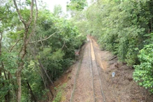 Train line to falls station