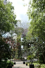 The grove artificial trees