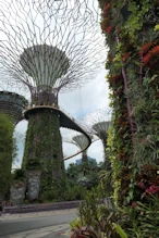 The suspended walkway