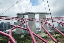 Views from the Supertree Observatory