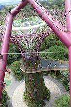 Looking down from Supertree Observatory to the suspended walkway