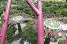 Views from the Supertree Observatory