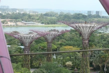 Views from the Supertree Observatory