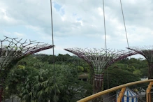 View from suspended walkway