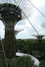 View from suspended walkway