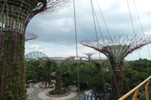 View from suspended walkway