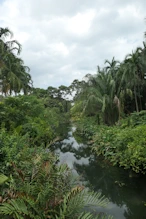 Little creek in gardens
