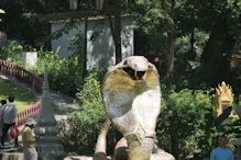 The city hill (still year of snake as new year is in April)