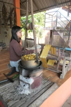 Harvesting the silk fibres