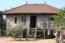 Traditional house