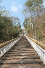 Looking up the stairway to boat