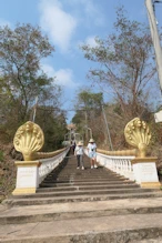 Looking up the stairway to boat