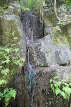 Seepage down the hill