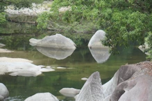 Lower pool with reflections