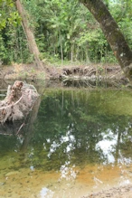 Top swimming area with reflections