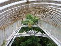 Kew Gardens – palm house