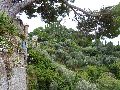 Portofino – view from Castello