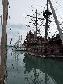 Genoa – fish in harbour