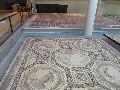 Arles Museum – Mosaic
