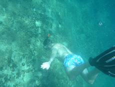 Peter diving down to look at sea hare