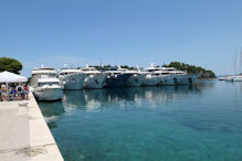 Line up of cruise boats