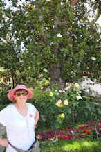 Generalife Robyn with magnolia and roses