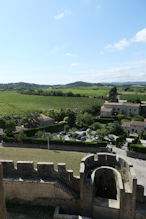 View of vines from ramparts