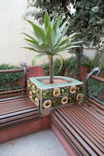 Casa Vicens potplant with ceramic files