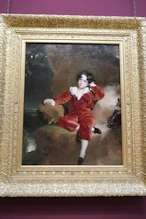 Portrait of a boy in red velvert