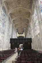 The organ